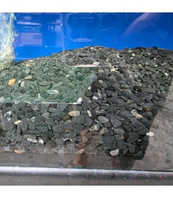 540277149_783604054215068_6483498882427436861_n