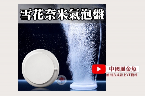 20250224-bubble_tray