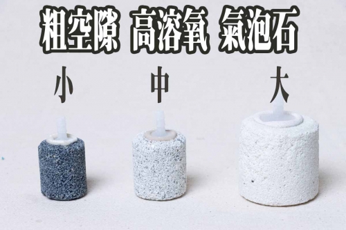 大小比較img_0048_1967108685