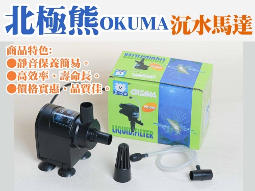 橫幅2024-4-1-北極熊