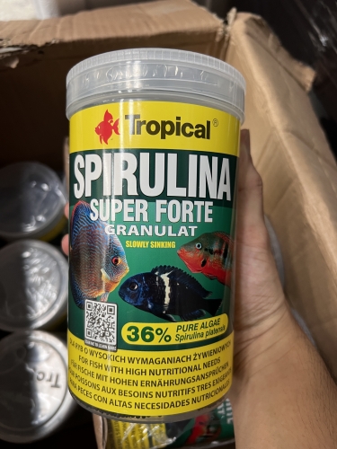 s__6930671強化_194375720