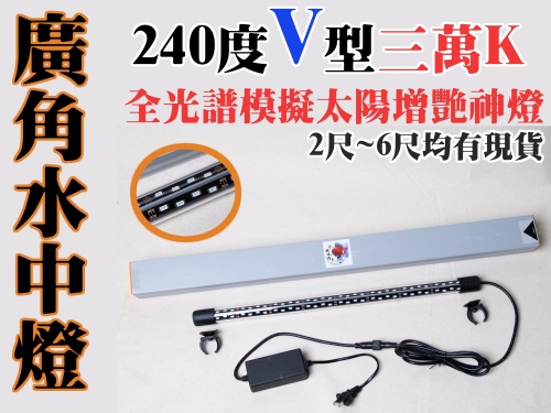 廣角水中燈-橫幅2024-4-15