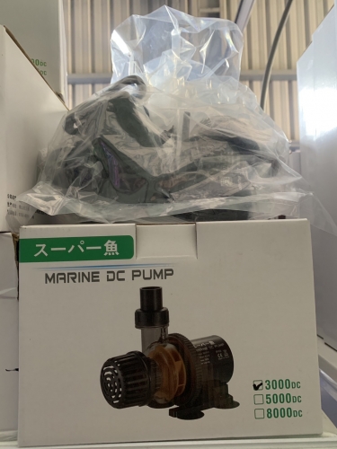 s__19308551_0_462881063