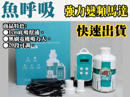 fish_breathe_2024-4-1img_4505