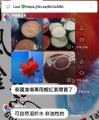 line_oa_chat_蝦紅素