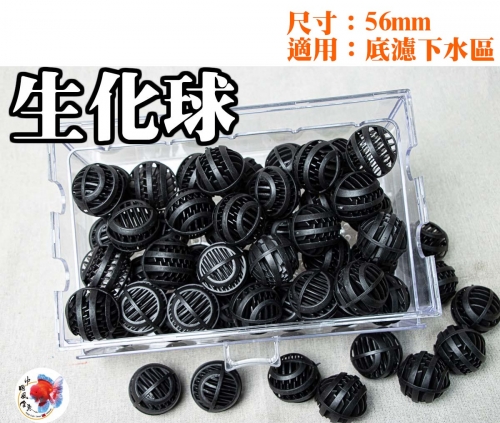 img_1279-56mm_1484544453