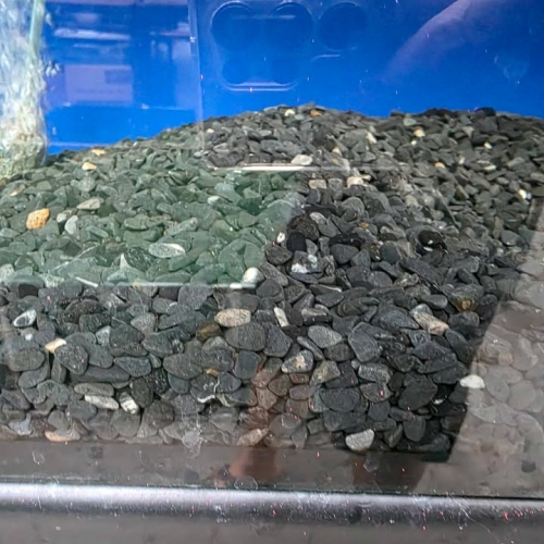 540277149_783604054215068_6483498882427436861_n